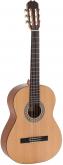 GUITARRAS 